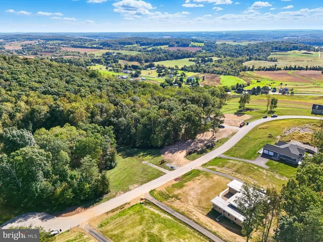 a view of a yard with plants