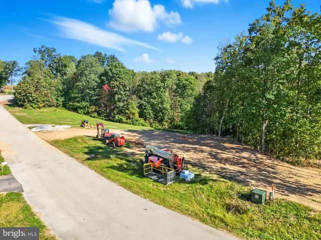a view of a garden with plants