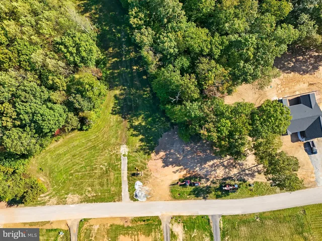 a view of a pathway both side of yard with green space