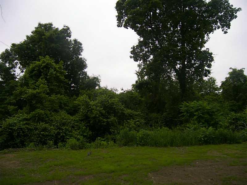 106 Santa Barbara Road Smithton, PA 15479 - Photo 17 of 19 Yard/Garden. View from back deck