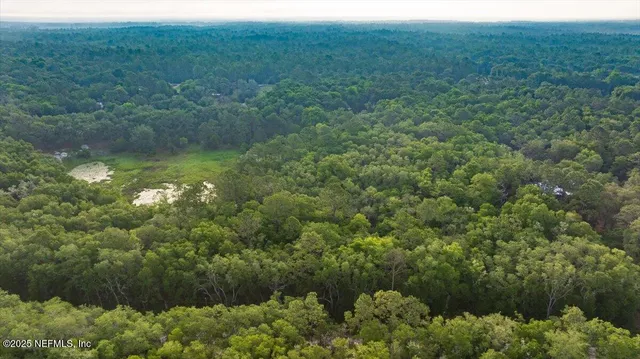 a view of a lush green forest with lots of trees