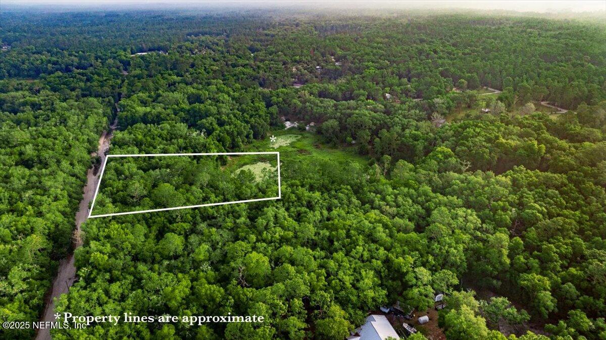 7231 Ridge Trail Road Keystone Heights, FL 32656 - Photo 3 of 7 view of a green field