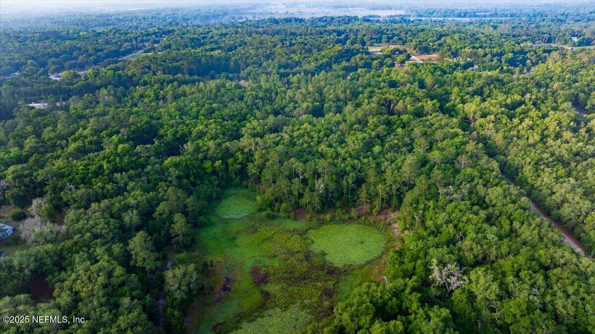 7231 Ridge Trail Road Keystone Heights, FL 32656 - Photo 4 of 7 view of a green field with lots of bushes