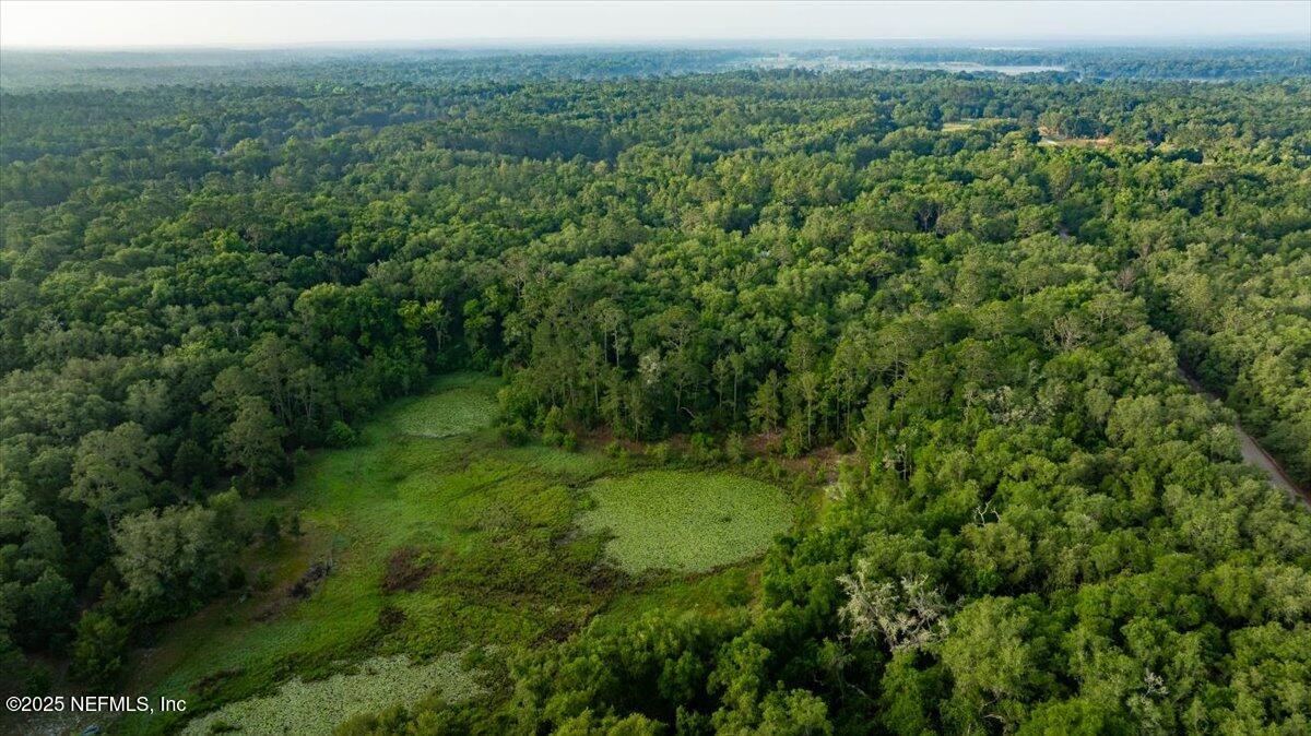 7231 Ridge Trail Road Keystone Heights, FL 32656 - Photo 5 of 7 a view of a green field with lots of trees