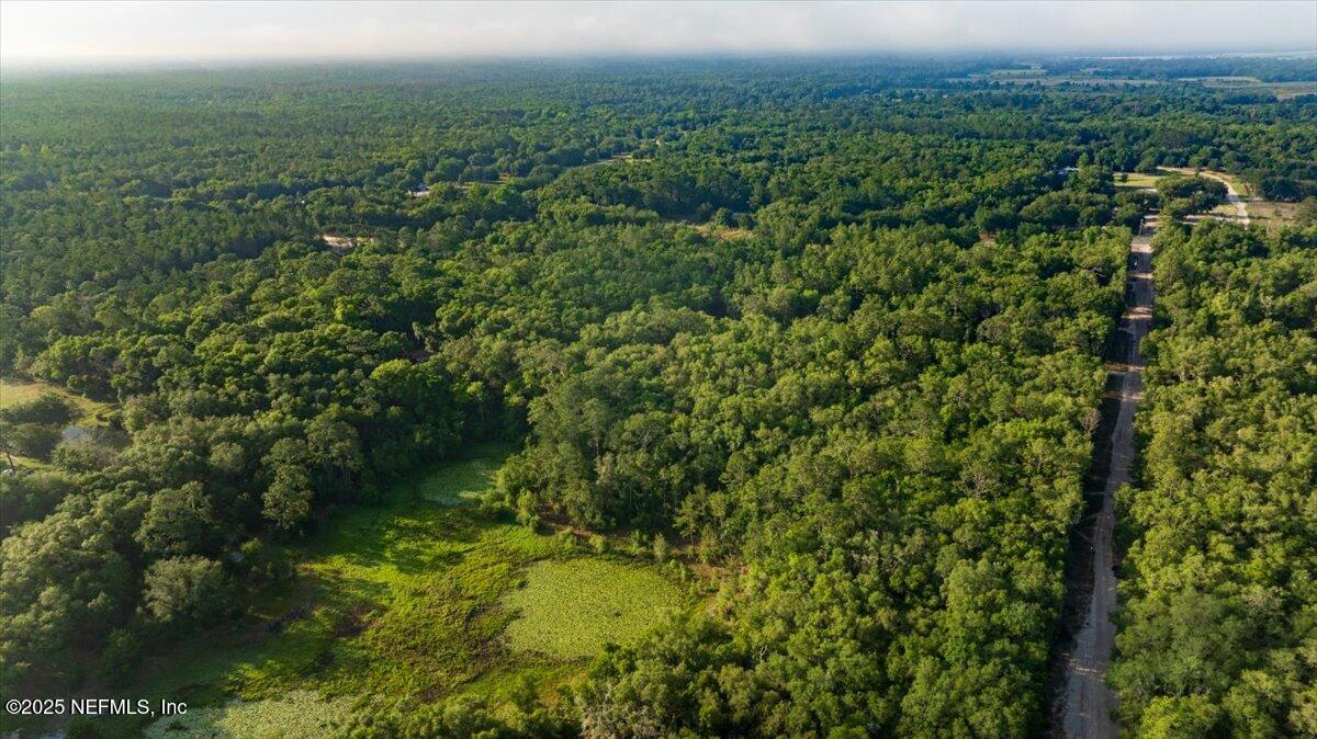 7231 Ridge Trail Road Keystone Heights, FL 32656 - Photo 7 of 7 a view of a green field with lots of bushes