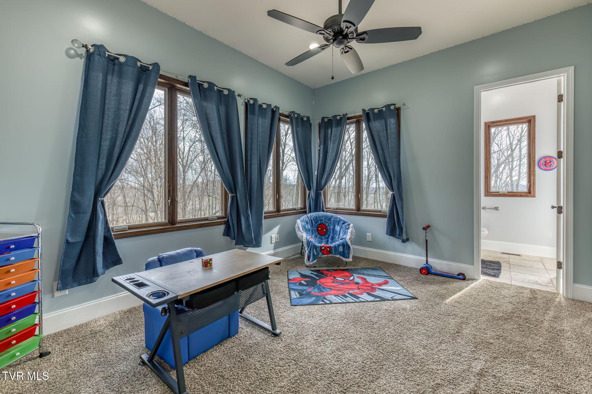 520 Highway 93 Fall Branch, TN 37656 - Photo 45 of 85 Bedroom