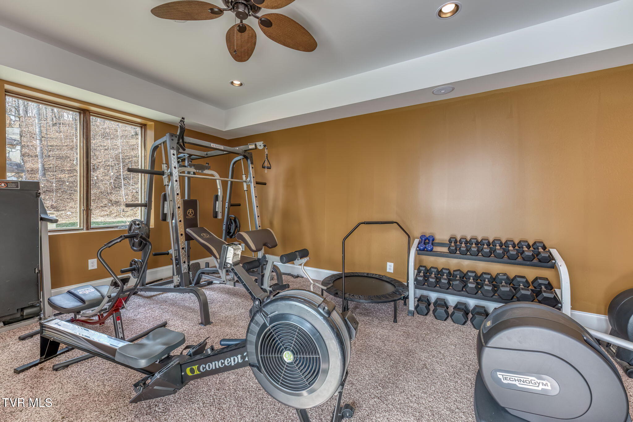 520 Highway 93 Fall Branch, TN 37656 - Photo 67 of 85 Flex Space/Gym