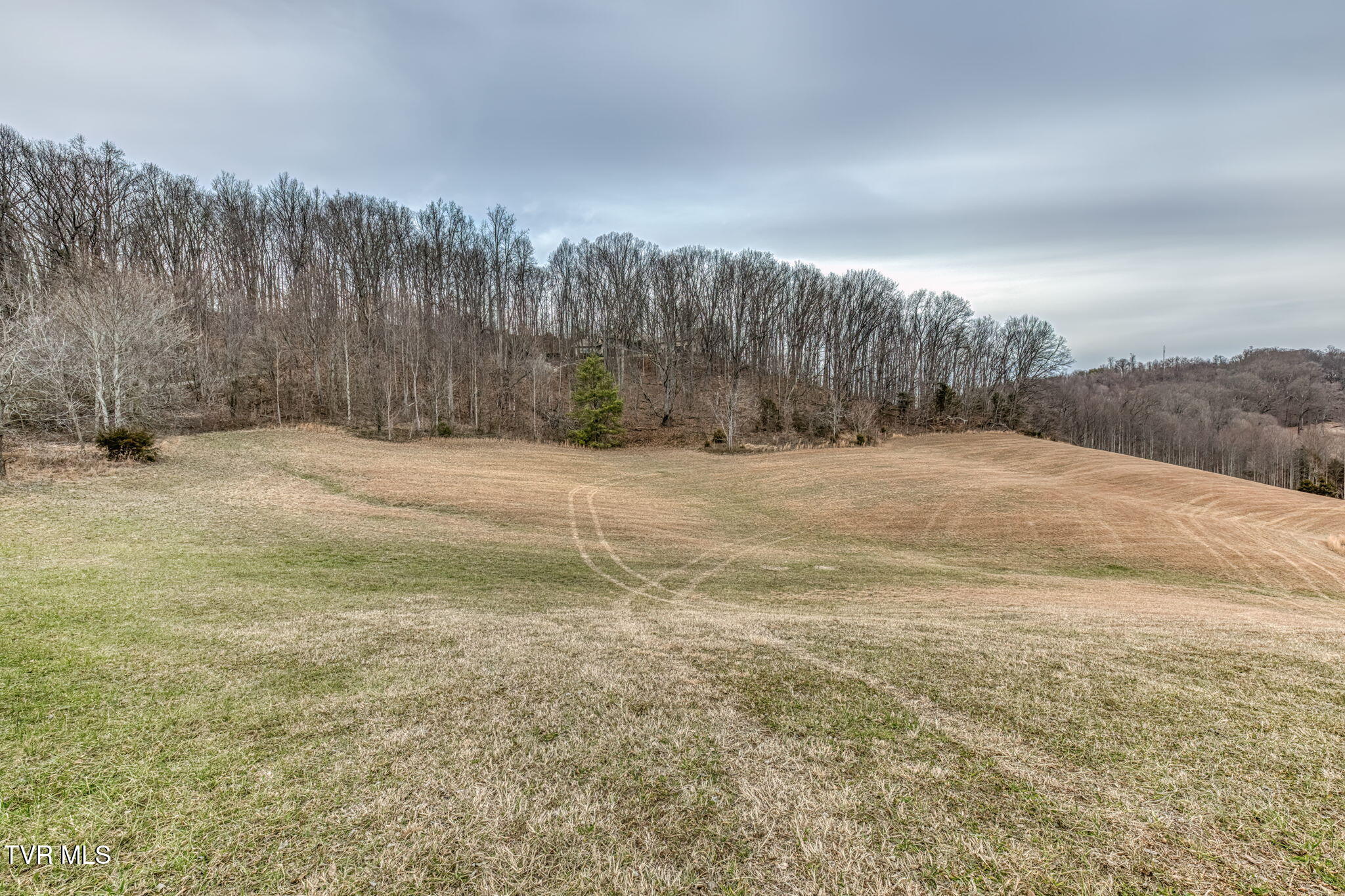 520 Highway 93 Fall Branch, TN 37656 - Photo 77 of 85 520 Highway 93