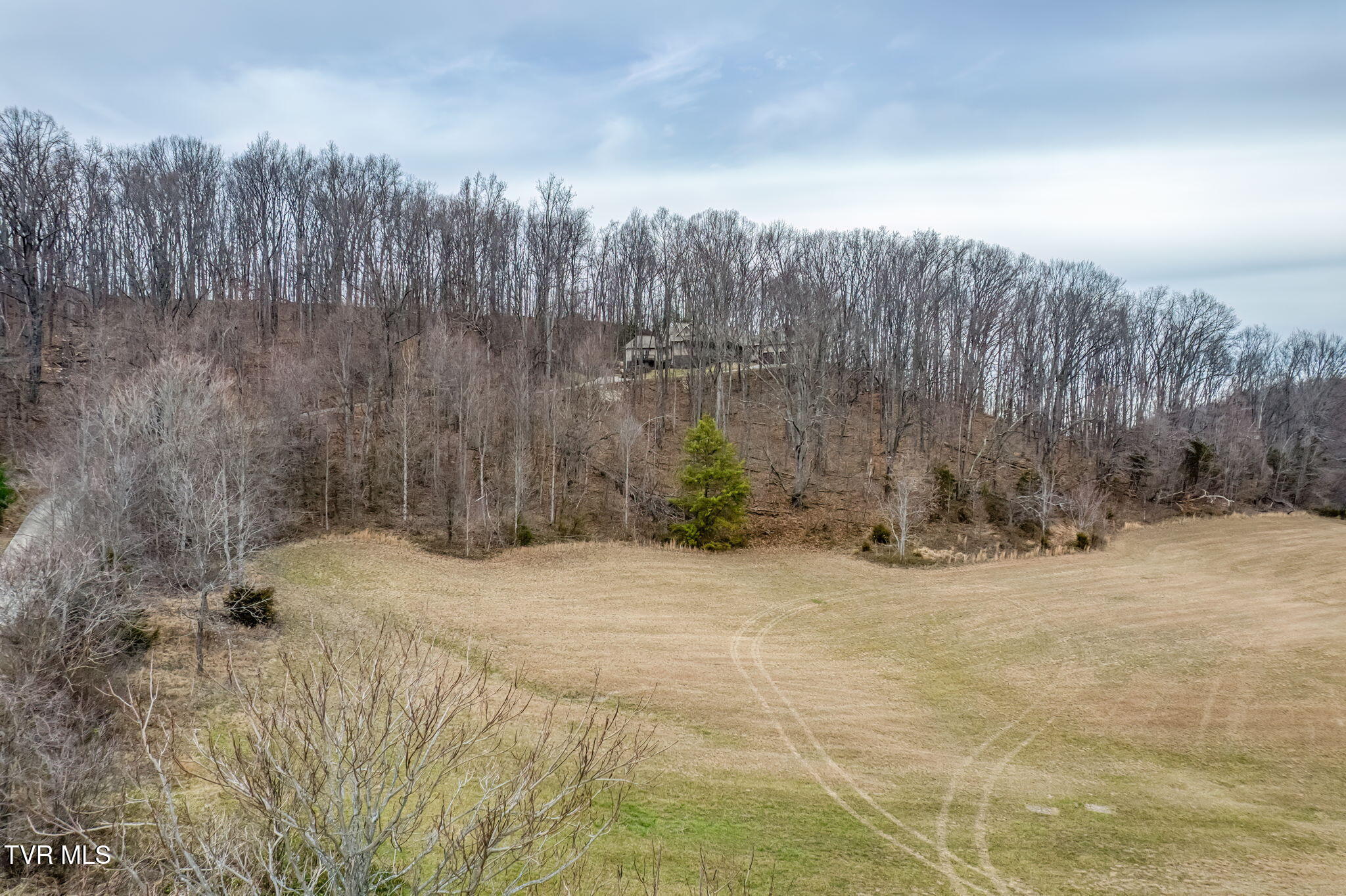 520 Highway 93 Fall Branch, TN 37656 - Photo 79 of 85 520 Highway 93