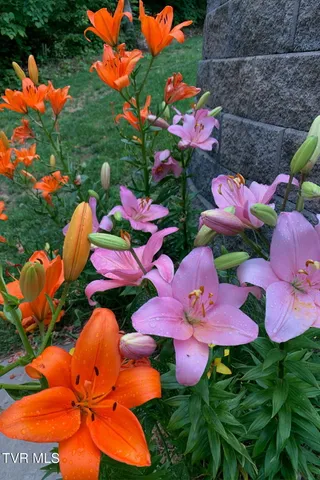 $1,750,000 | 520 Highway 93, Fall Branch, TN 37656