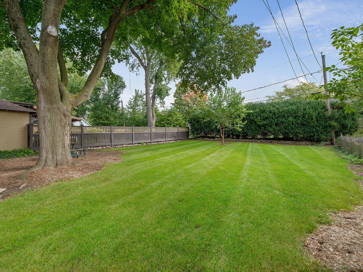 161 E Road Glen Ellyn, IL 60137 - Photo 26 of 27 a view of a yard with a large trees
