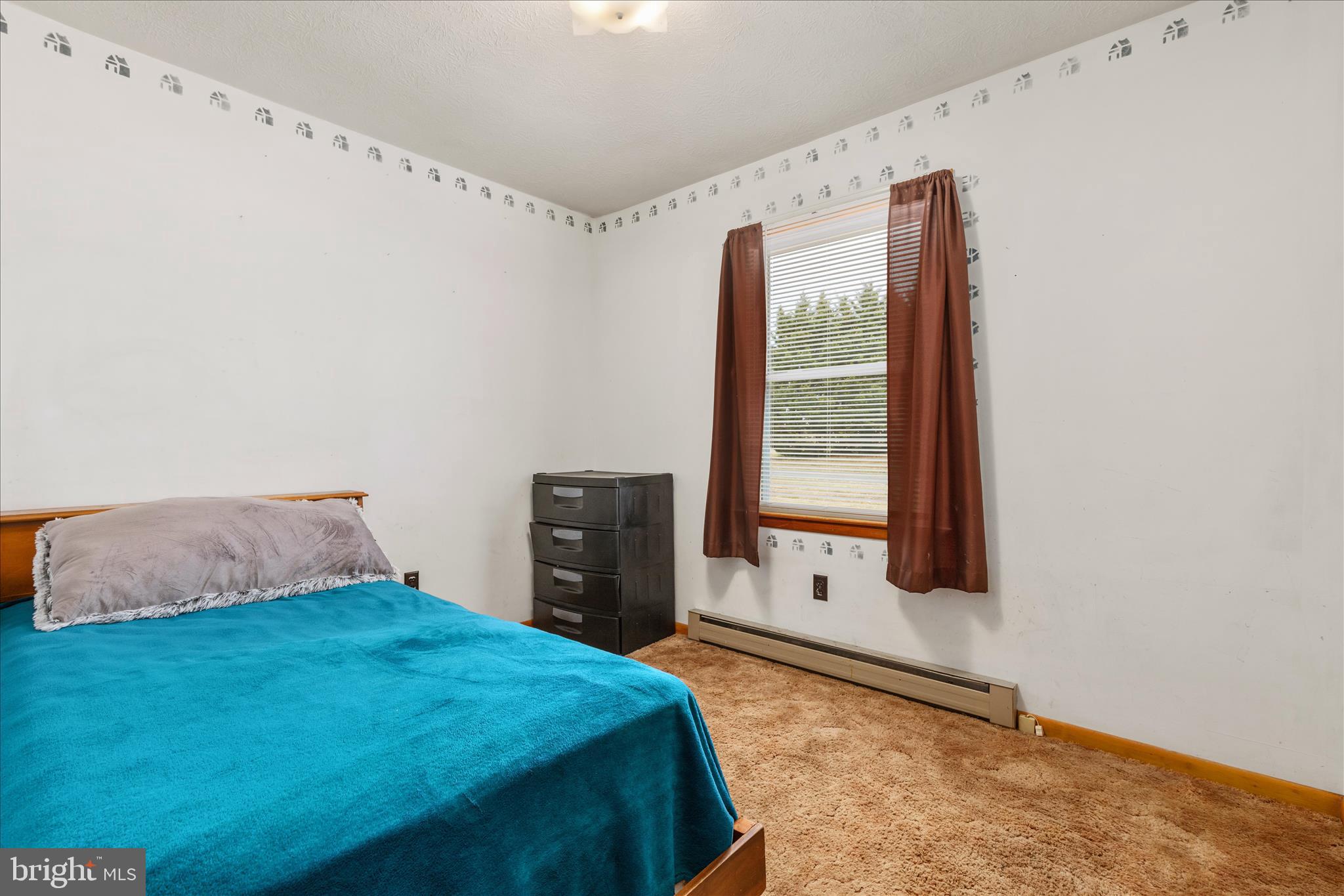 2021 Fairview Road Woodstock, VA 22664 - Photo 8 of 25 2E6A2970_2021 Fairview Rd - Absolute Altitude -1 -