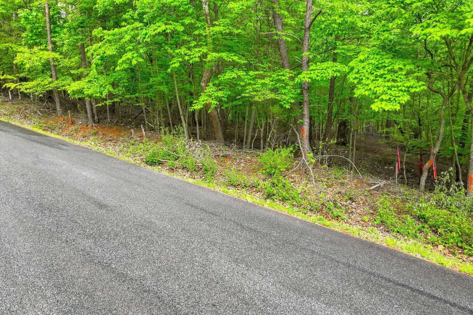 Lot 60 Old Barn Road Moneta, VA 24121 - Photo 11 of 31 20260520134610552708000000-o