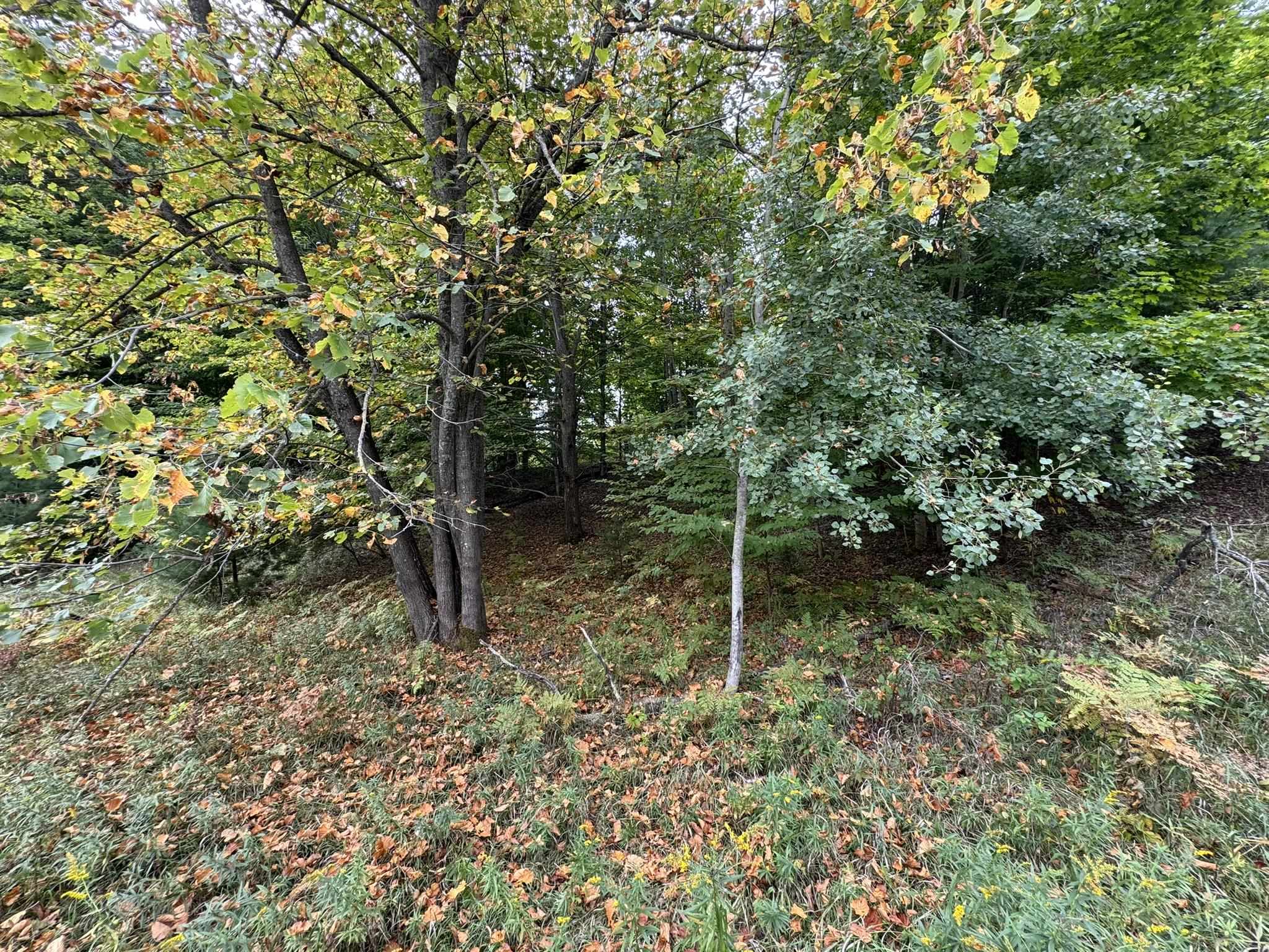 Lot 5 East Old Mountain Road, Unit LOT: 5 Cedar, MI 49621 - Photo 2 of 10