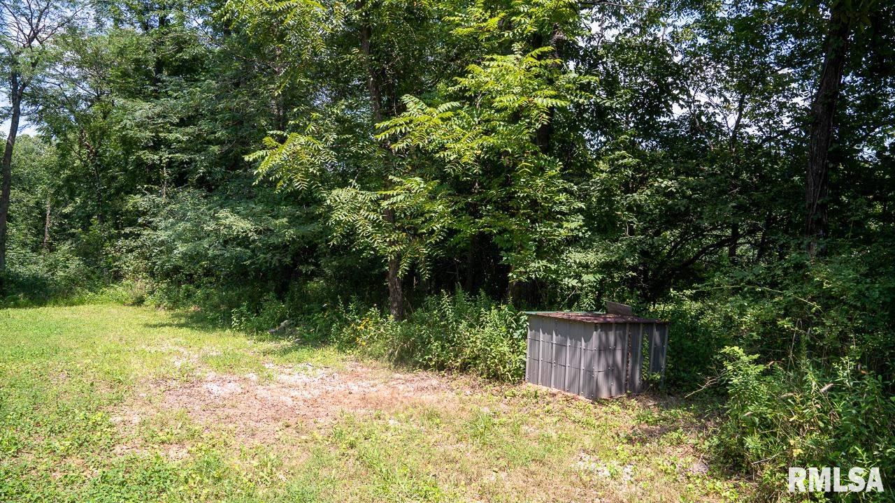 Rural Property Rural Property Ropers Lane Camden, IL 62319 - Photo 14 of 50 Gallery Image 14