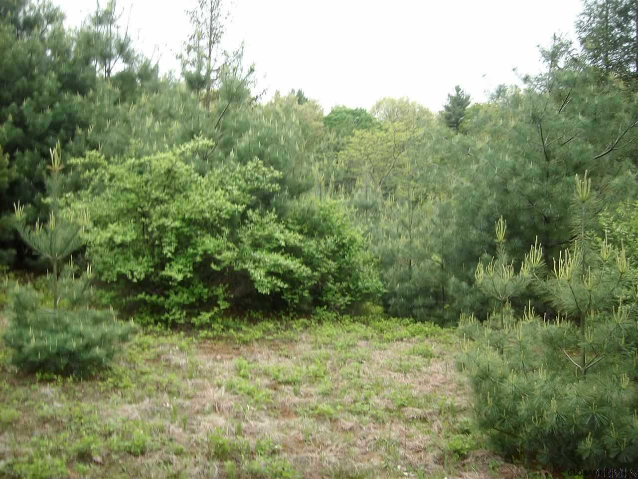 0 Ruggles Road Wilton, NY 12831 - Photo 1 of 15 Photo 1