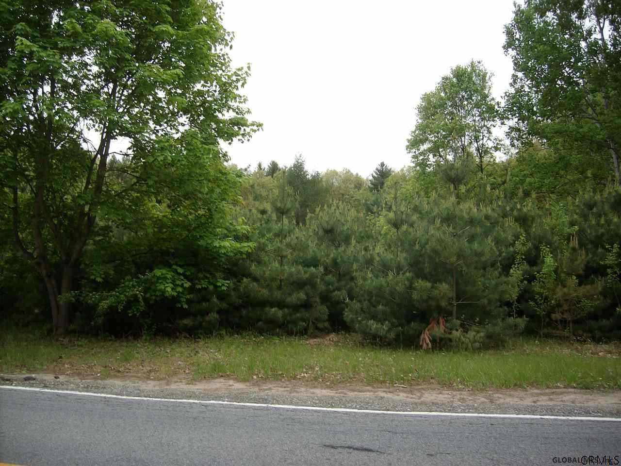 0 Ruggles Road Wilton, NY 12831 - Photo 15 of 15 Photo 15