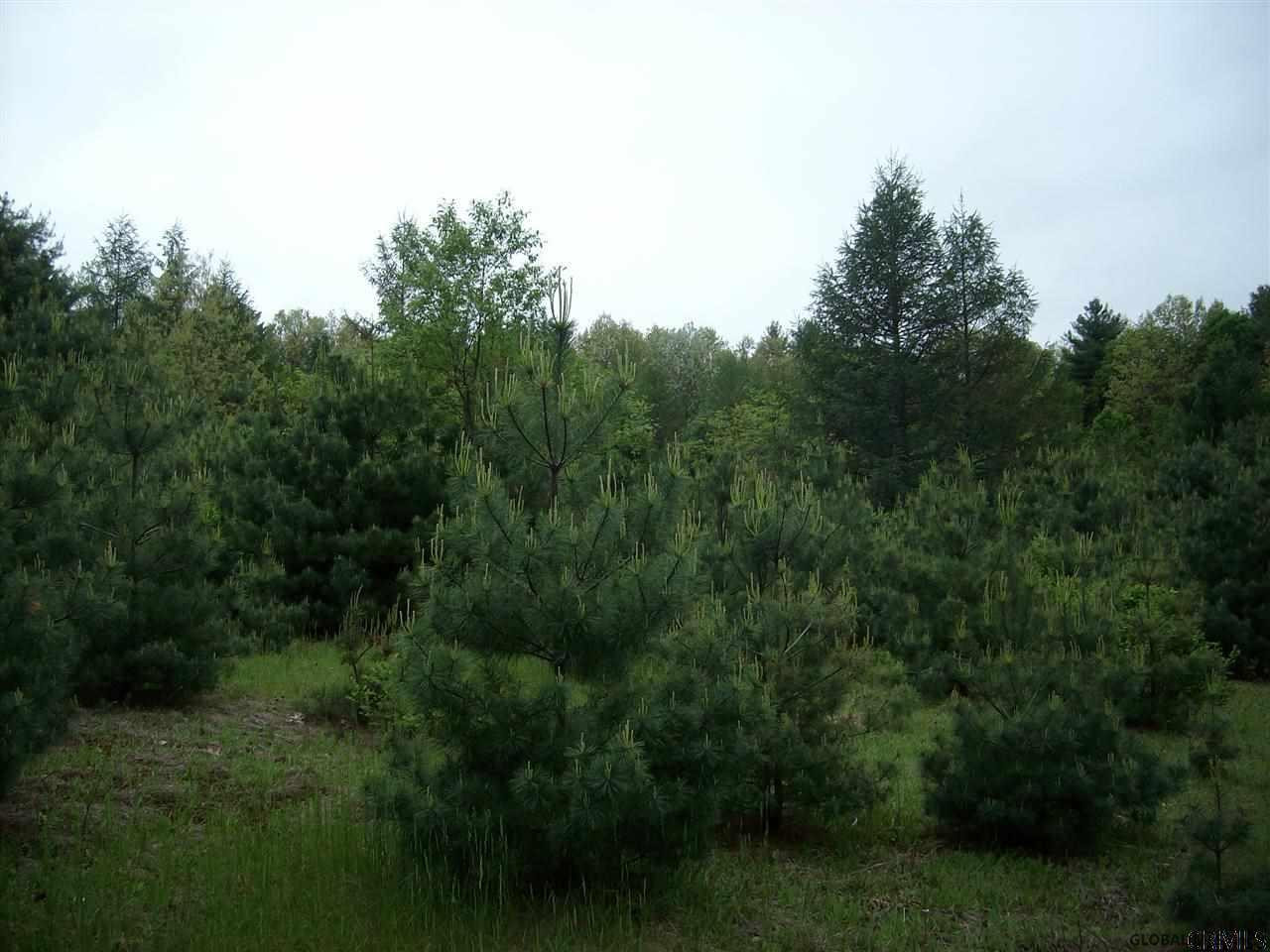 0 Ruggles Road Wilton, NY 12831 - Photo 3 of 15 Photo 3