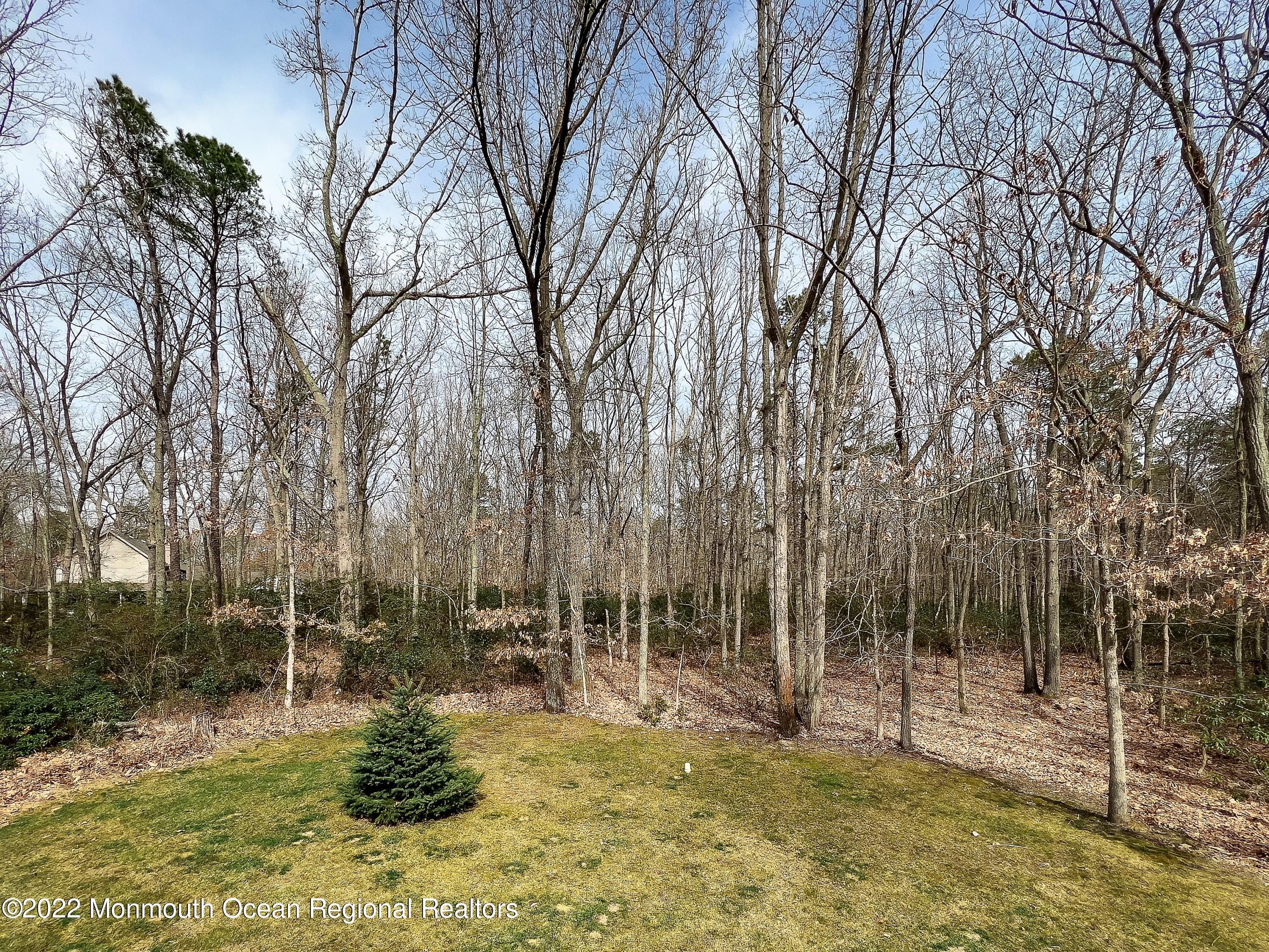 628 Reed Road Jackson, NJ 08527 - Photo 58 of 63 628 Reed Backyard