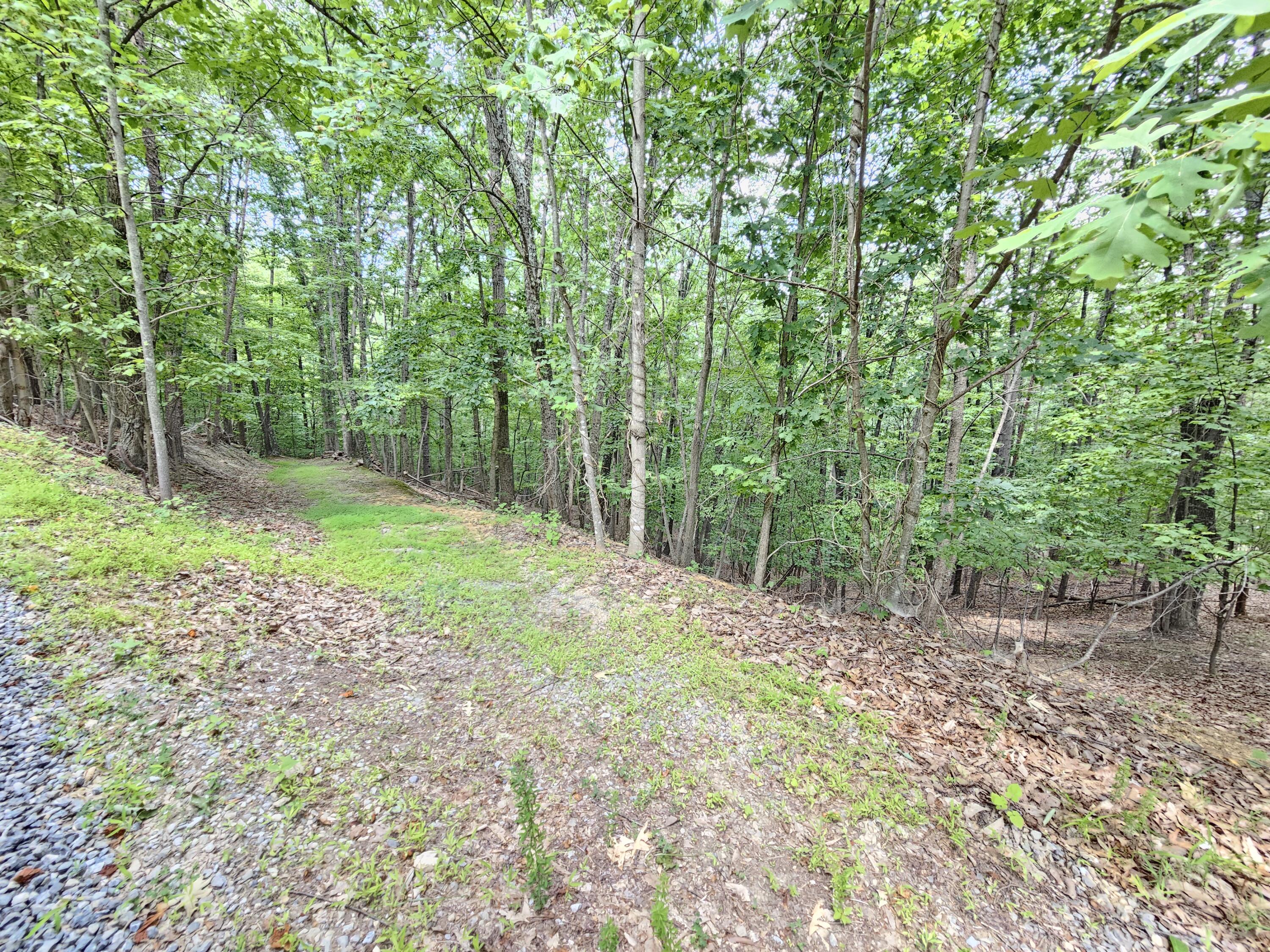 634 Zimmerman Road Blue Ridge, VA 24064 - Photo 53 of 55 20260622_112043