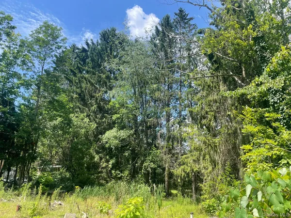 $99,000 | 33 Dudley Street, Harveys Lake, PA 18618