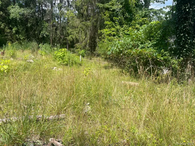 a view of swimming pool from a yard