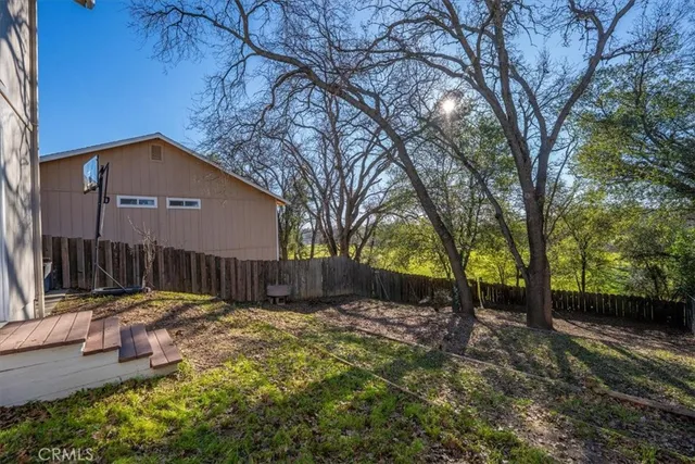 a view of a tree in a yard