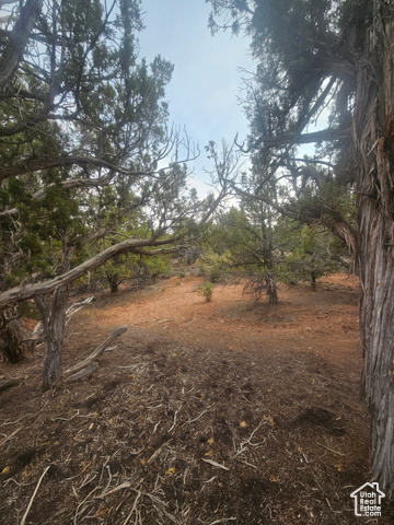 915 South Stagecoach Road, Unit 8 Fruitland, UT 84027 - Photo 22 of 40 Beautiful Property Views - Nice Large Trees!