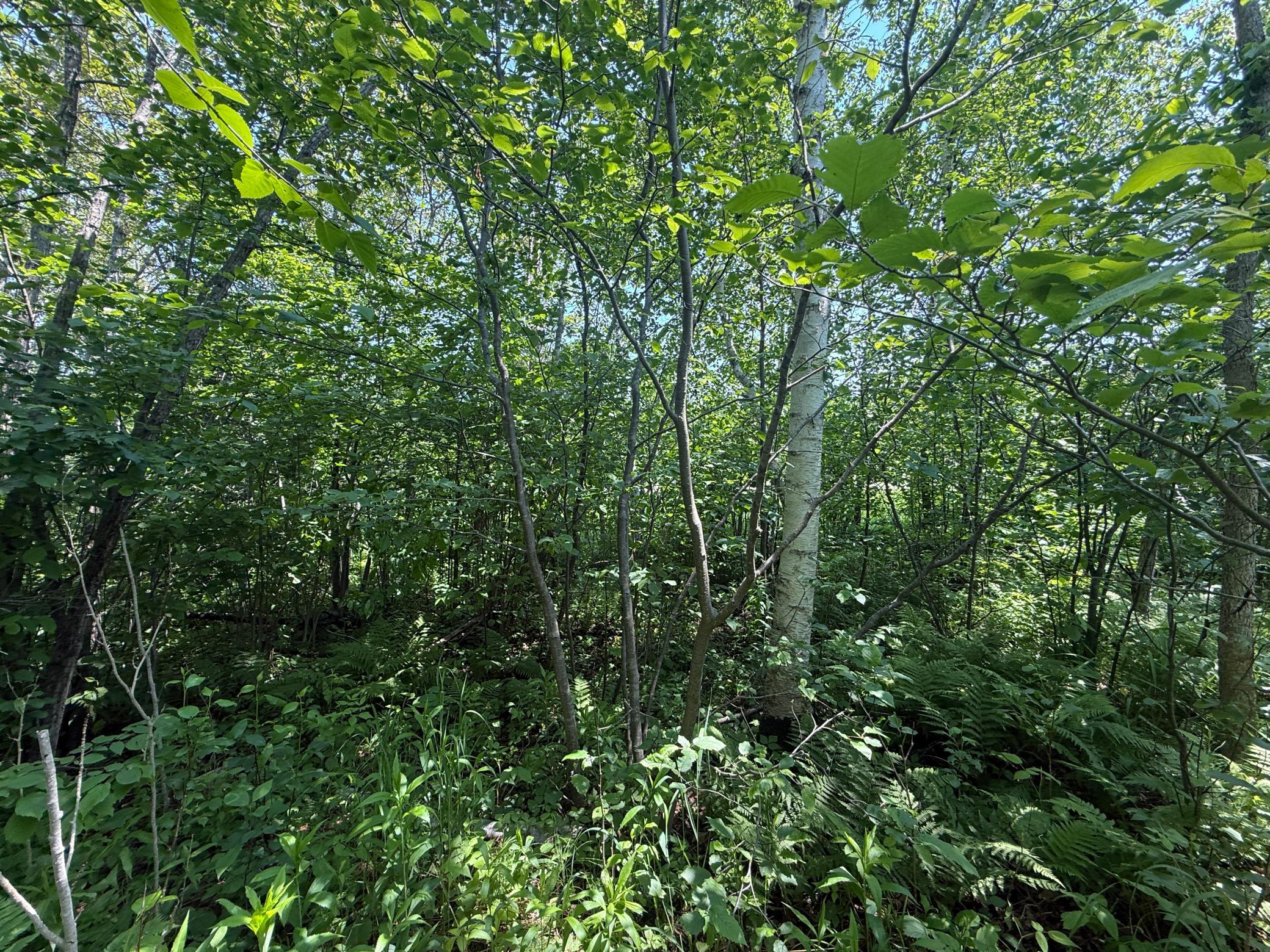 Two Scenic Drive Two Harbors, MN 55616 - Photo 20 of 26