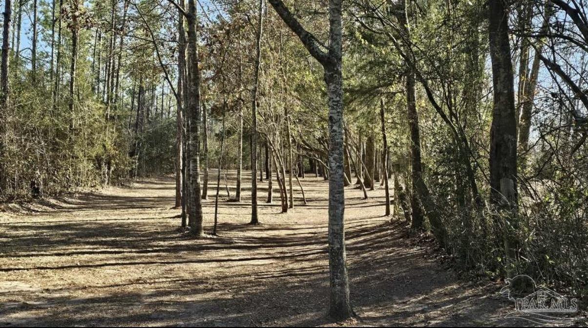 Salter Road Pace, FL 32571 - Photo 11 of 12