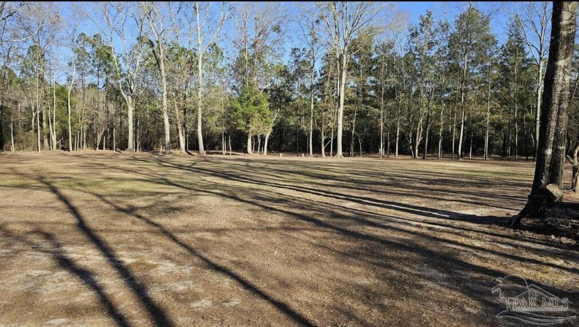 Salter Road Pace, FL 32571 - Photo 2 of 12