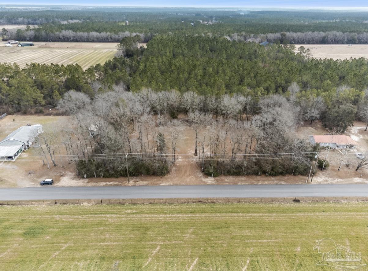 Salter Road Pace, FL 32571 - Photo 3 of 12