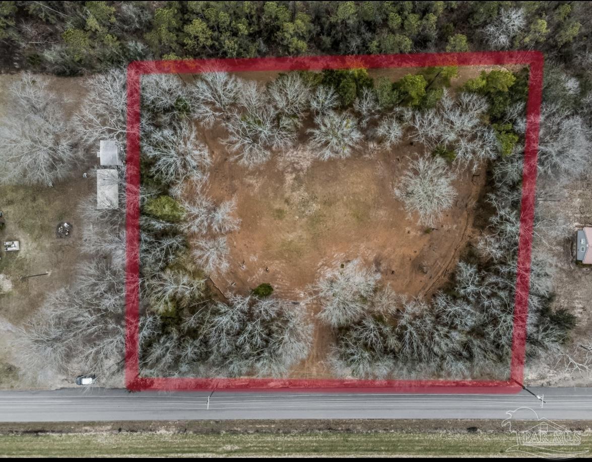 Salter Road Pace, FL 32571 - Photo 4 of 12