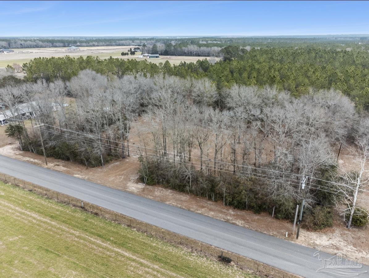 Salter Road Pace, FL 32571 - Photo 5 of 12