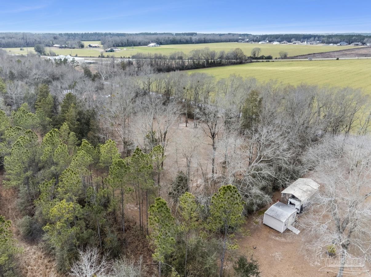 Salter Road Pace, FL 32571 - Photo 9 of 12