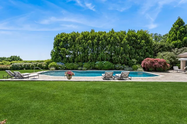 a view of a park with large trees