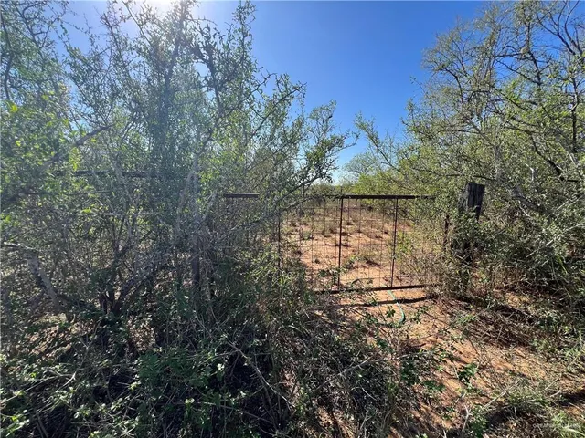$220,000 | 5212 Fm 1017, Delmita, TX 78536