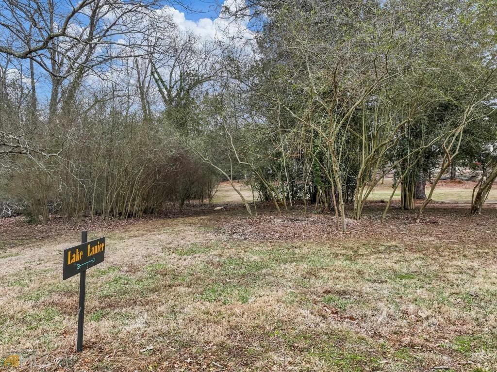 172 Thompson Place Gainesville, GA 30506 - Photo 30 of 32 a view of a backyard with large trees