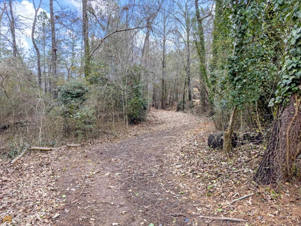 172 Thompson Place Gainesville, GA 30506 - Photo 31 of 32 a backyard of a house with lots of green space
