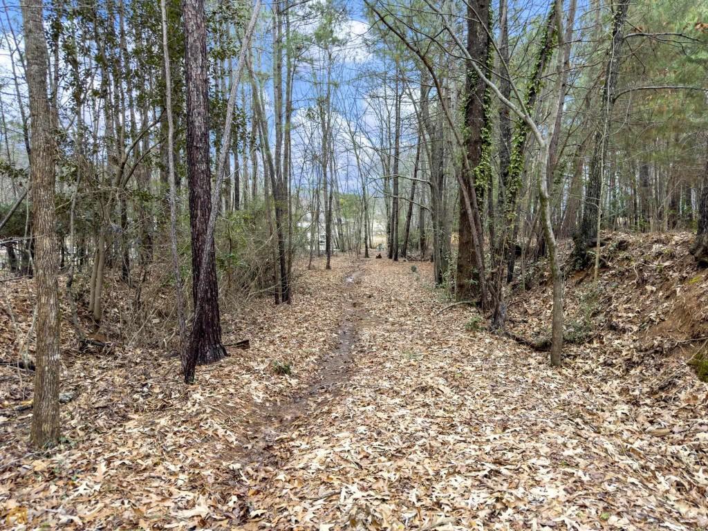 172 Thompson Place Gainesville, GA 30506 - Photo 32 of 32 a view of a forest with trees in the background