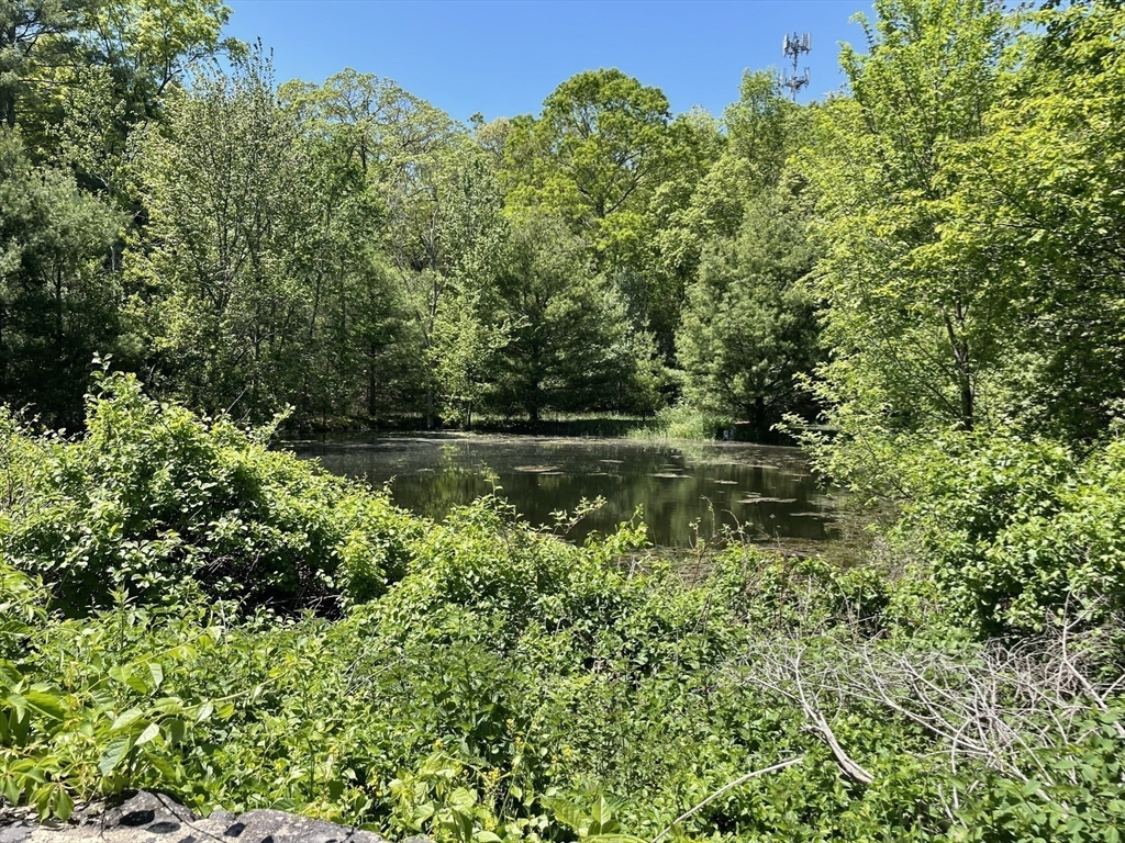 2 Stonegate Lane Dover, MA 02030 - Photo 32 of 35