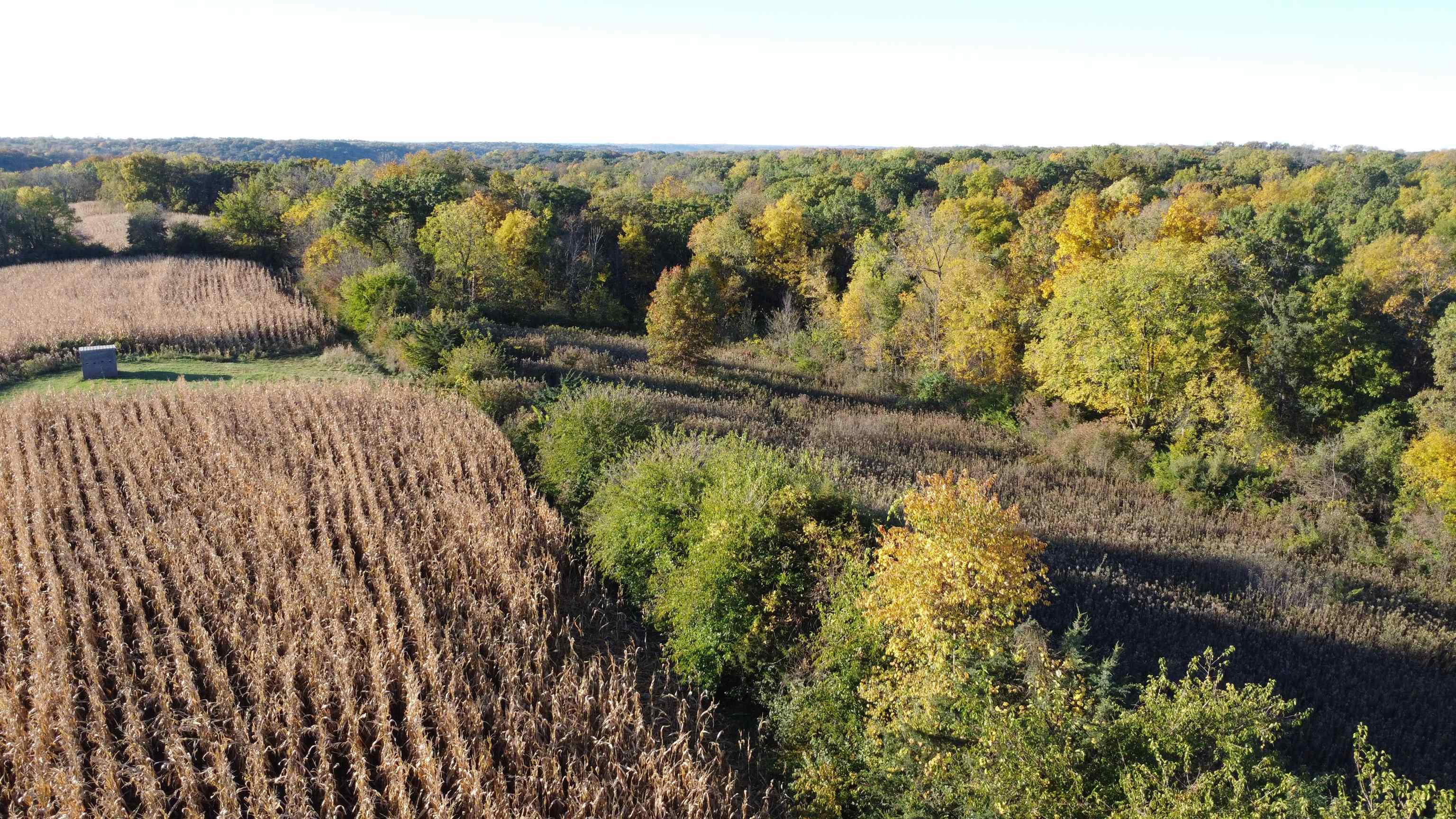 7151 West Blackjack Road Galena, IL 61036 - Photo 11 of 49 a view of outdoor space and yard
