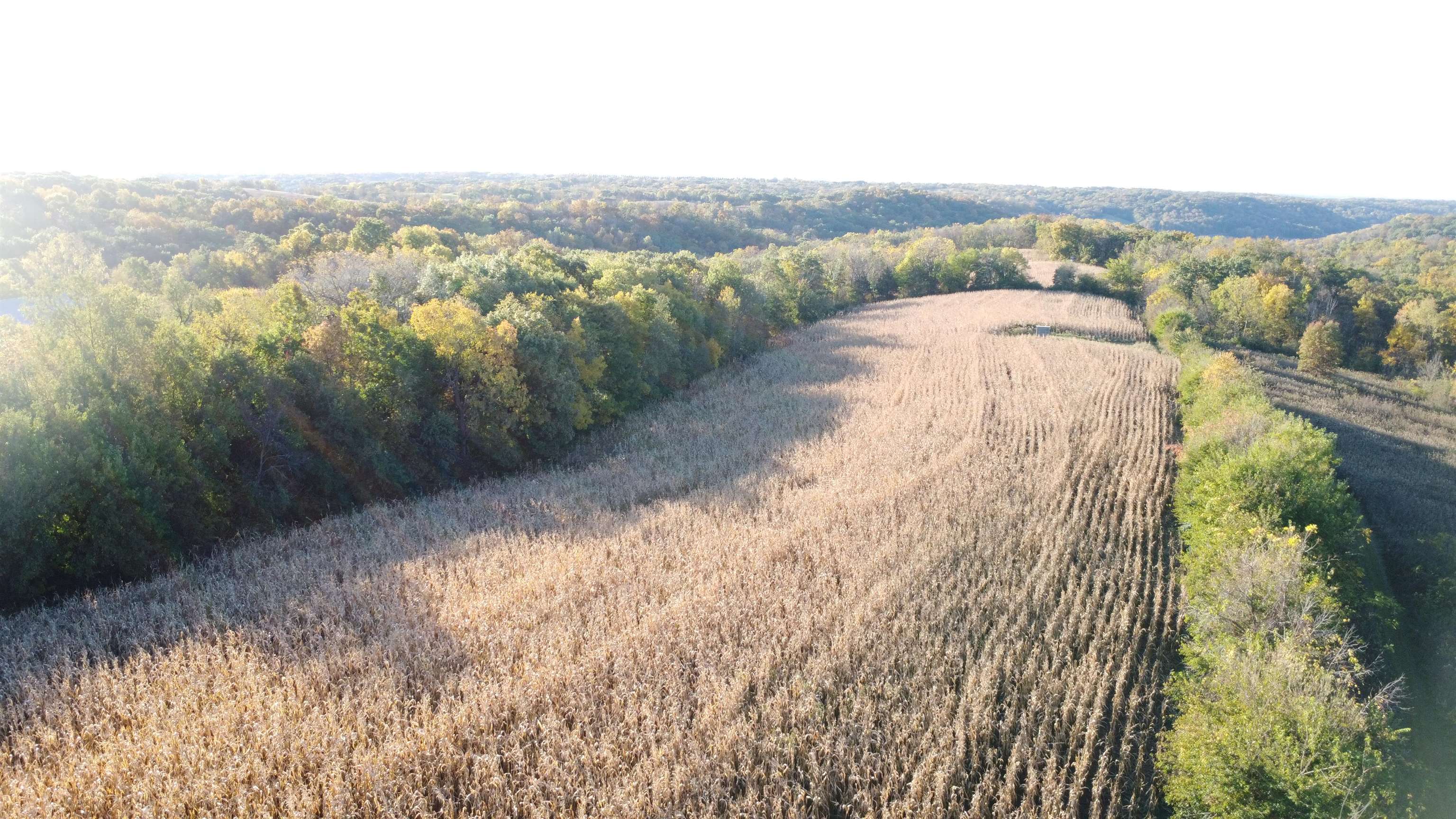7151 West Blackjack Road Galena, IL 61036 - Photo 20 of 49 a view of a lake in middle of forest