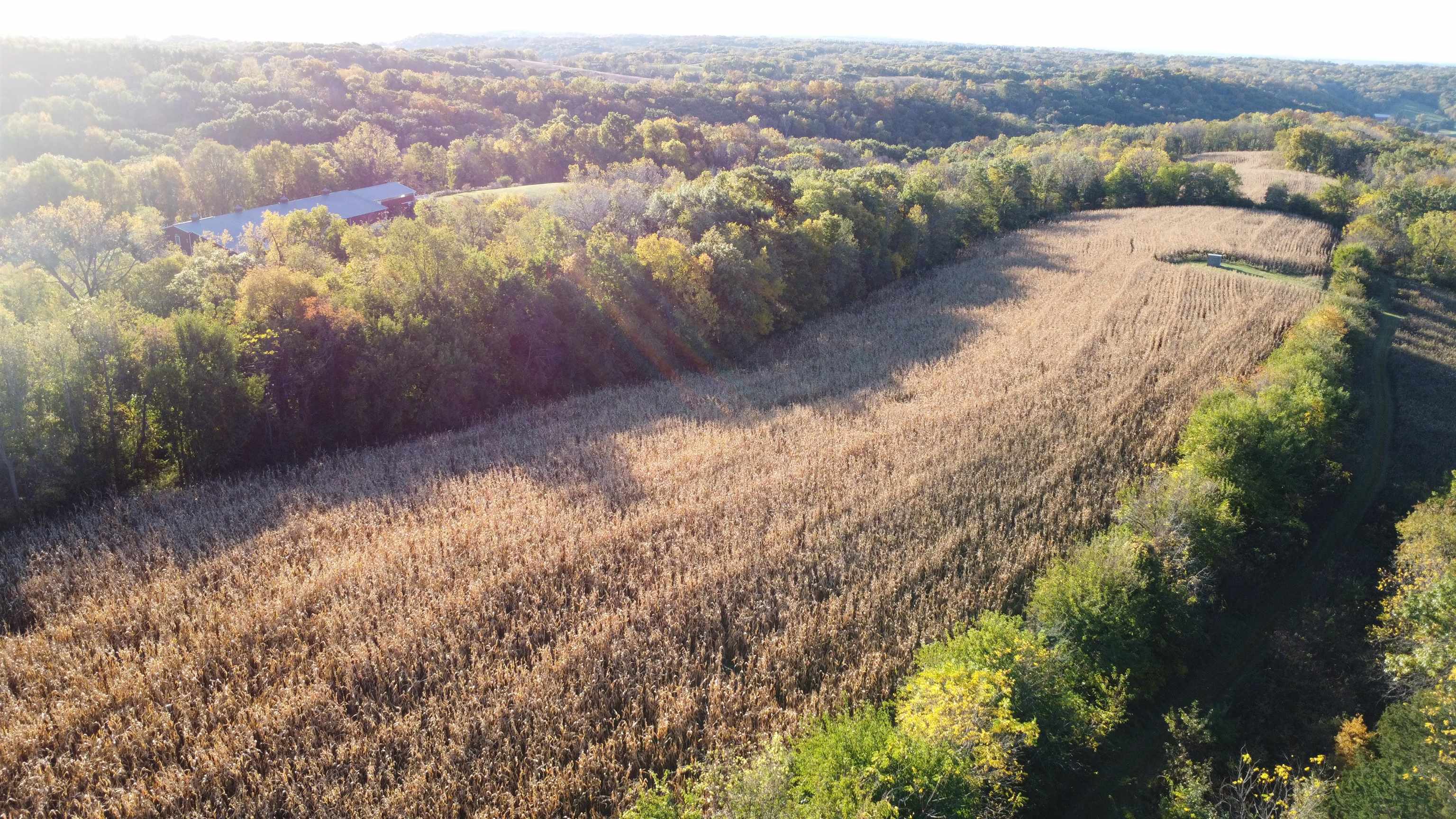 7151 West Blackjack Road Galena, IL 61036 - Photo 22 of 49