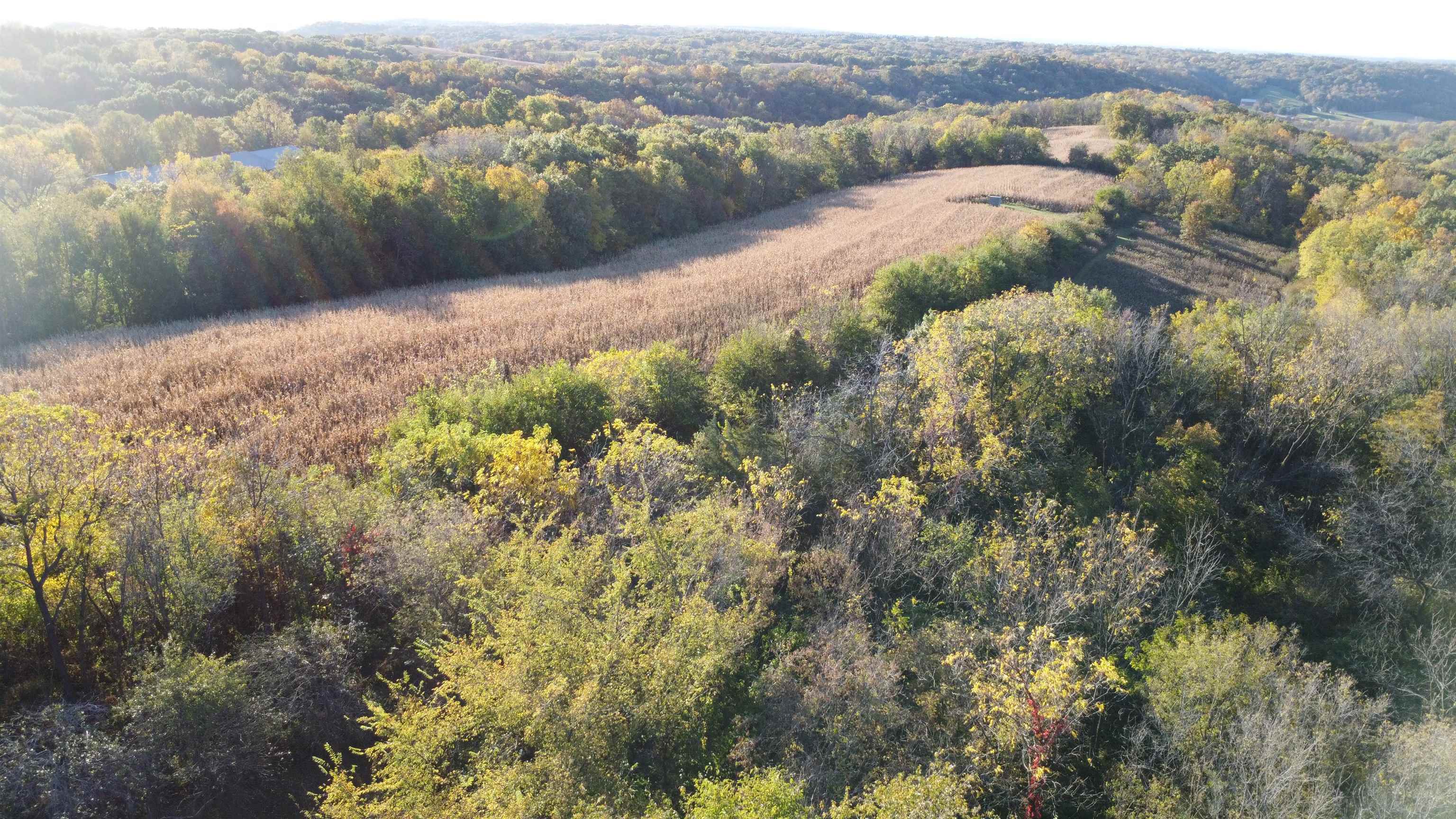 7151 West Blackjack Road Galena, IL 61036 - Photo 25 of 49