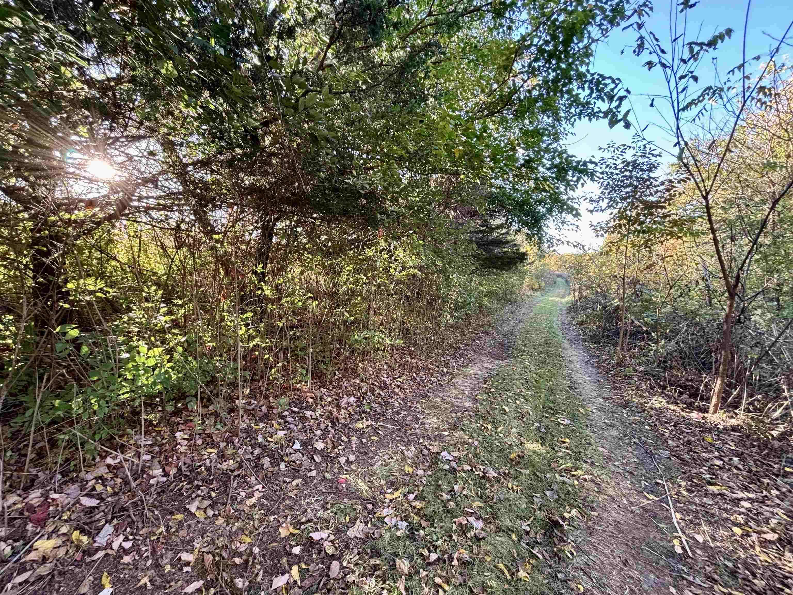 7151 West Blackjack Road Galena, IL 61036 - Photo 31 of 49