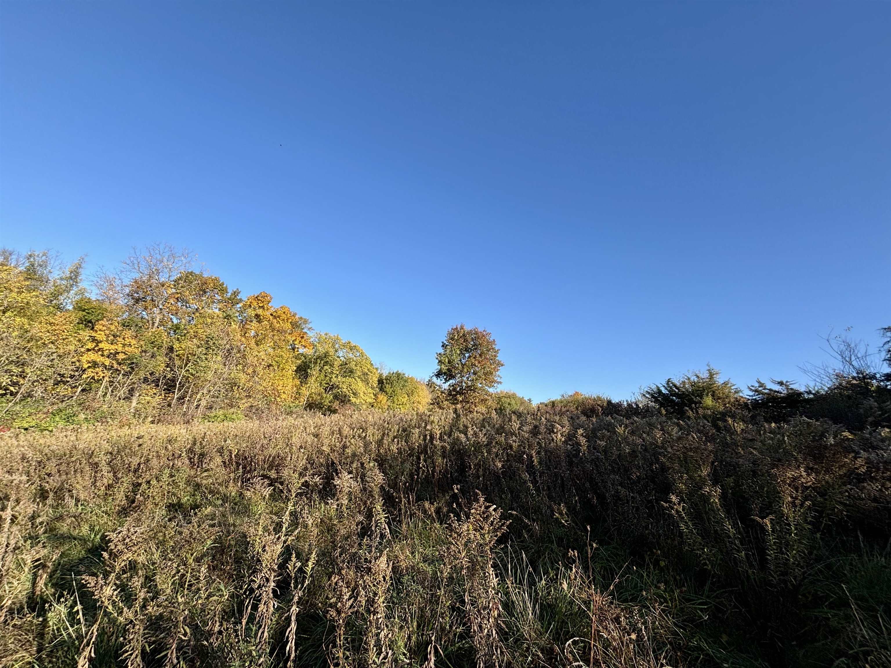 7151 West Blackjack Road Galena, IL 61036 - Photo 36 of 49 a view of a large building