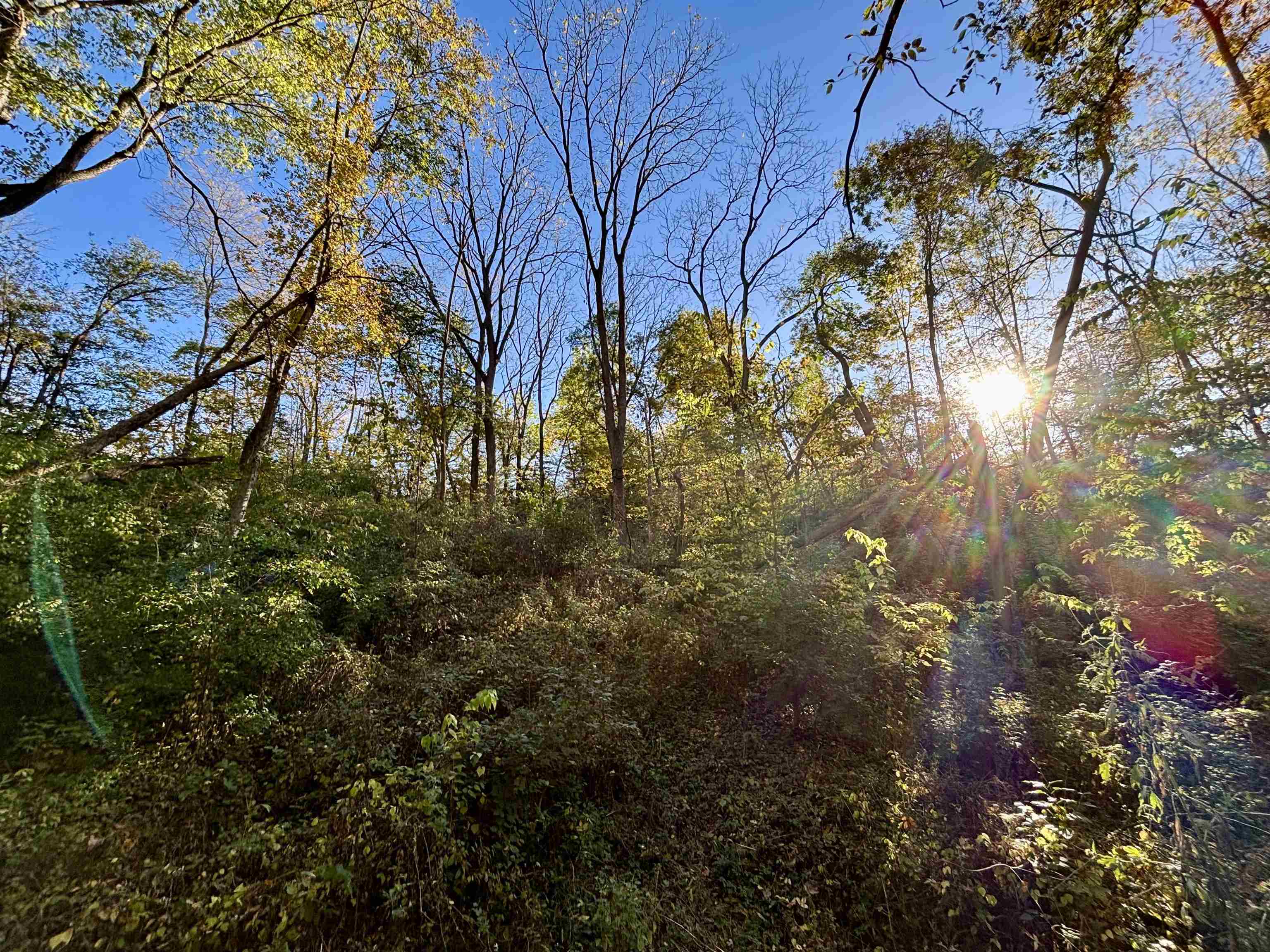 7151 West Blackjack Road Galena, IL 61036 - Photo 37 of 49 a view of a yard