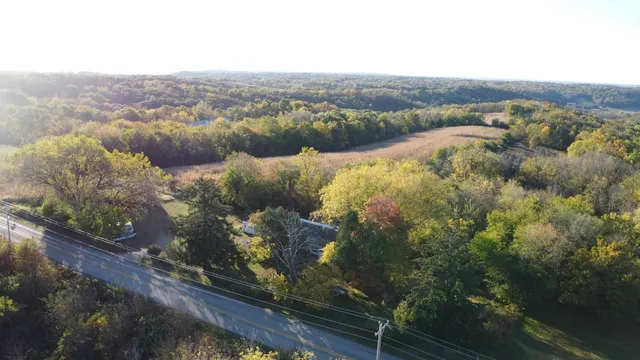 a view of a yard with plants