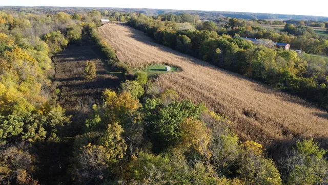 an aerial view of forest